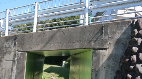 20231007111346_IMG_9593