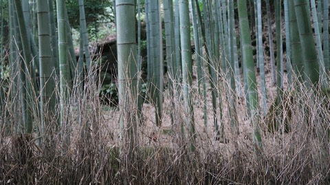 ScreenShot Tool -20250911222058_result_