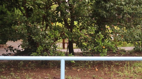 20220716152915_IMG_4998