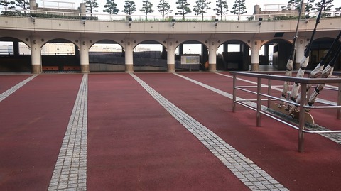 20200816174834_IMG_7501