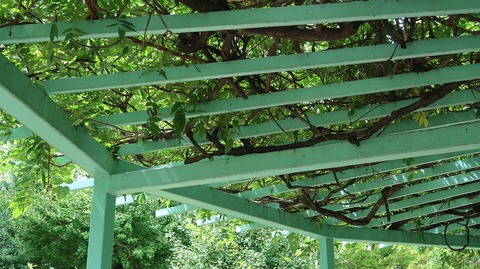 20220812135114_IMG_5672