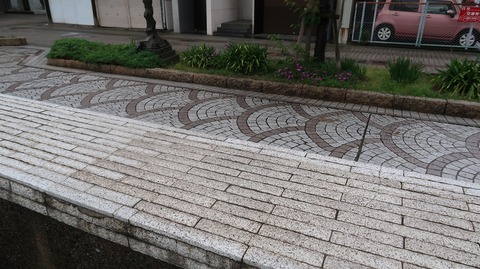 20240501115028_IMG_0994