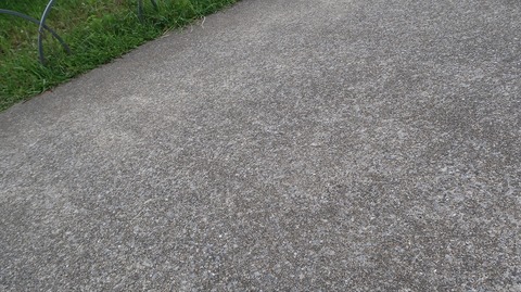 20220508172149_IMG_4167