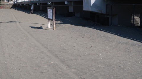 20190223104458_IMG_0977