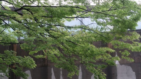 20230415174323_IMG_7987