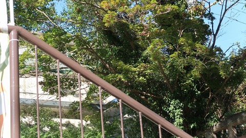 20201025142238_IMG_8719