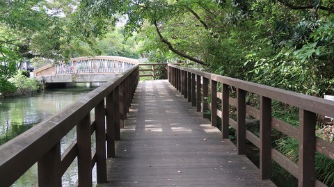 20200810162009_IMG_7279