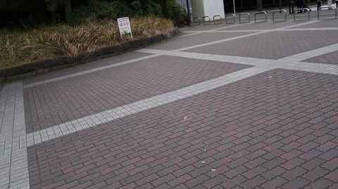 20211205165945_IMG_2419