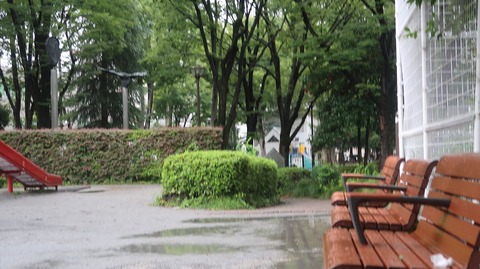 IMG_2532