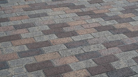 20220911132642_IMG_6168