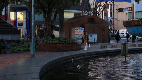 20200104161920_IMG_5113