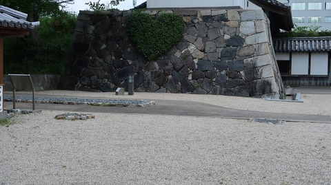 20210502122722_IMG_1350