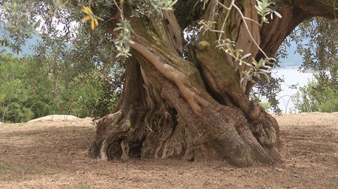 20220703110918_IMG_4966