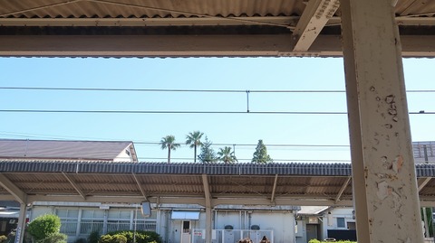 20230814152420_IMG_9101