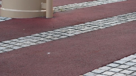 20200816175451_IMG_7505