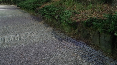 20211205172113_IMG_2433