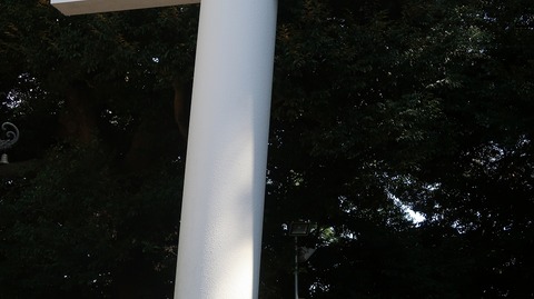 20230811150242_IMG_8982