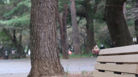 20211031162043_IMG_2301