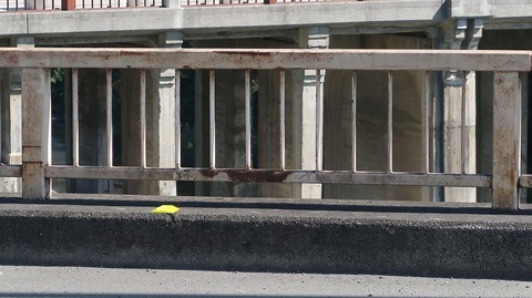 20231007101200_IMG_9567