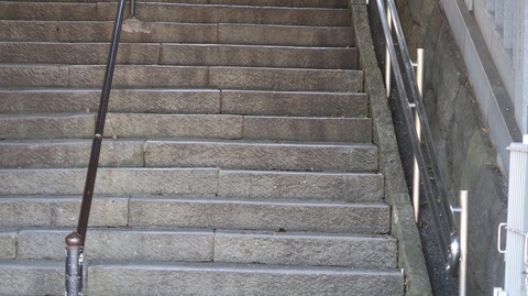 20230811151151_IMG_8994