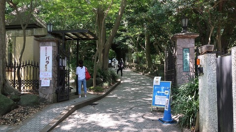 20190525124834_IMG_2403