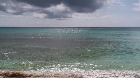 20221118132640_IMG_6886