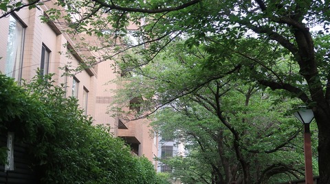 20230610170609_IMG_8497