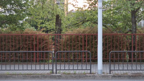 20220430185540_IMG_3699