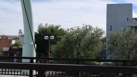 20220702154923_IMG_4882