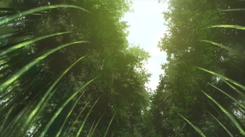 20200808094941_IMG_7034_