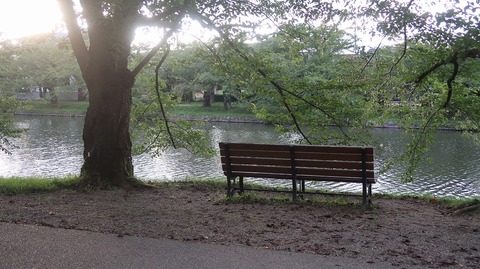 20200919170219_IMG_7891