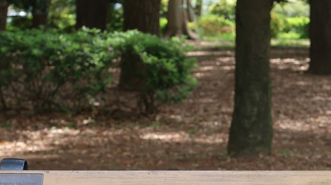 20220417141625_IMG_3541