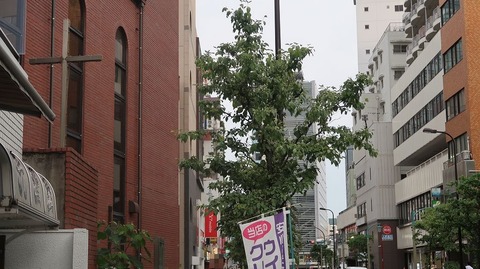 20230610174639_IMG_8517