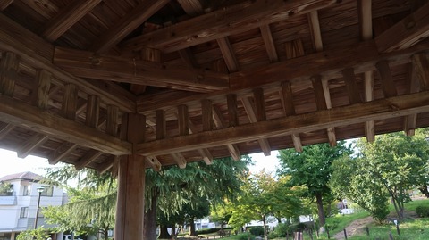 20220811171705_IMG_5564