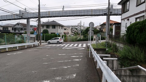 20190623133249_IMG_2613