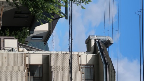 20190813155834_IMG_3290