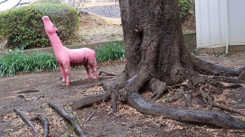 20190209102124_IMG_0872