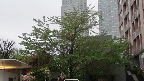 20230415170848_IMG_7965