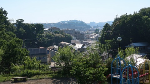 20190525155139_IMG_2467