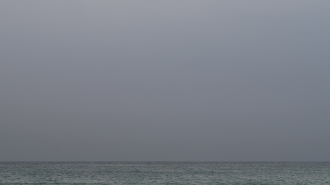 20190223161844_IMG_1076