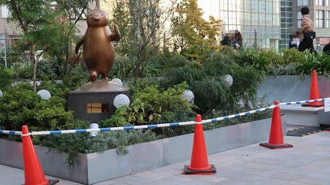 20201114160856_IMG_8850