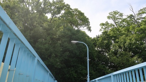 20230527143624_IMG_8347