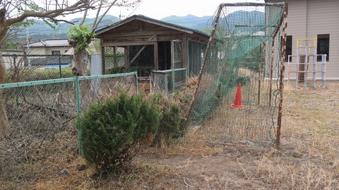 20220507122950_IMG_4146