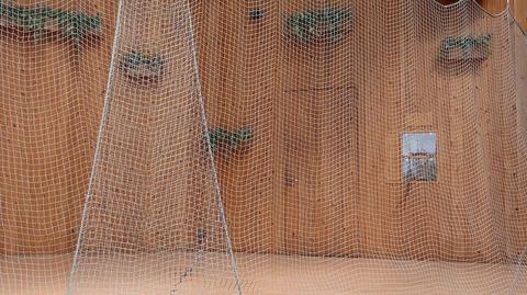 20210502104400_IMG_1308