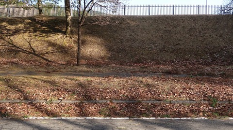 20211219142824_IMG_2510