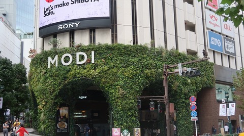 20231029105254_IMG_0273