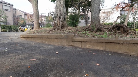 20221126115205_IMG_7020