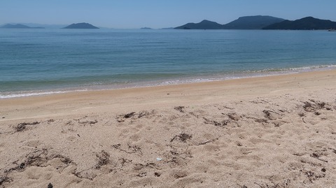 20220701133606_IMG_4709