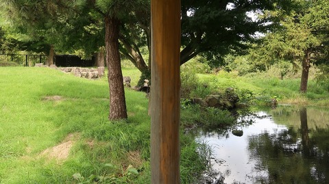 20200920112330_IMG_7951