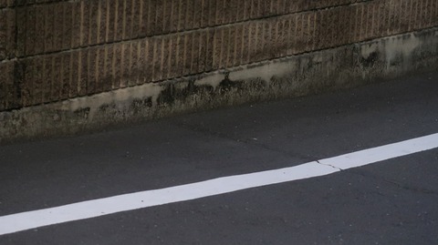 20220515192426_IMG_4323